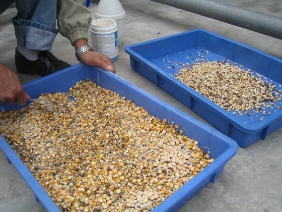 �����ֳ�¼�����Ƶ���������ǰ����� �����ֳ�����䷽