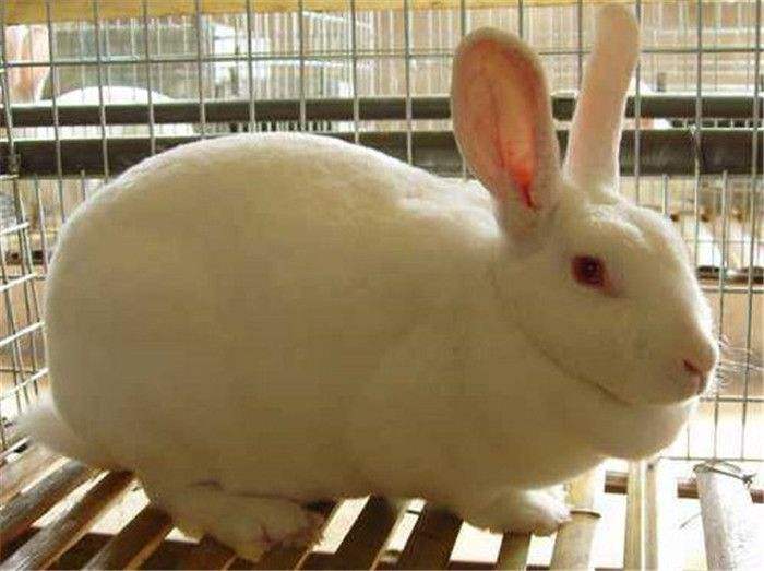 ̡����ֳ�����̴̳�ȫ��Ƶ 2018ר��Ԥ��̡������