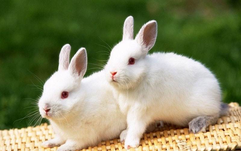 ̡����ֳ�����̴̳�ȫ��Ƶ 2018ר��Ԥ��̡������