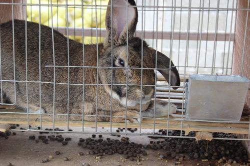 ̡����ֳ�����̴̳�ȫ��Ƶ 2018ר��Ԥ��̡������