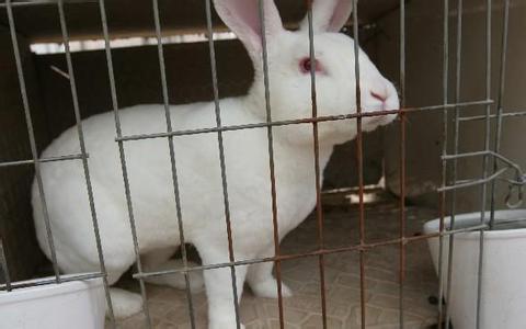 ̡����ֳ�����̴̳�ȫ��Ƶ 2018ר��Ԥ��̡������