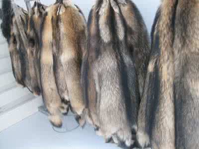 ������ֳ�����ּ�����Ƶ��ֲ�����ϴ��� 2018�������ֳǰ��Ԥ��