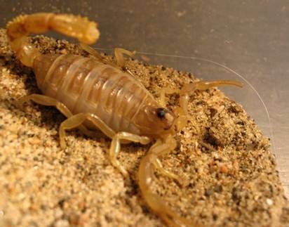 Ы����ֳ�����̳���Ƶ���ϴ�ȫ Ы����ֳͶ��Ҫ����Ǯ������ô��