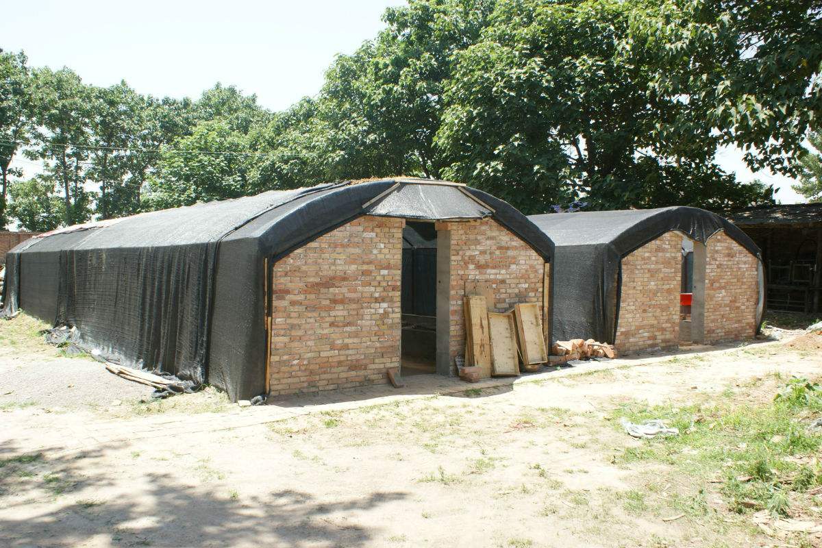 蝎子养殖技术教程视频资料大全 蝎子养殖投资要多少钱利润怎么样