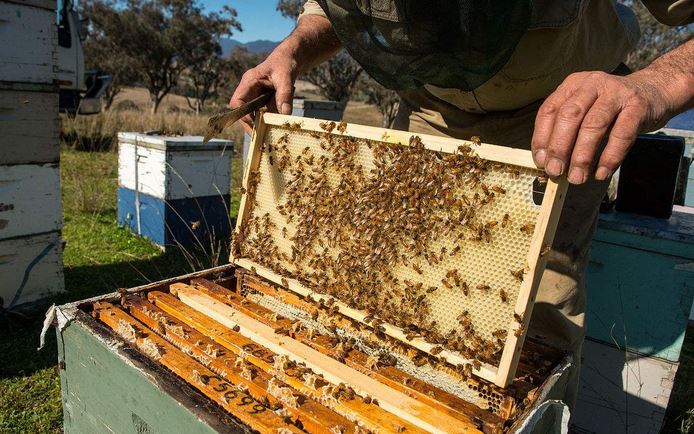 ���似����ѧ������Ƶ�˹�����ָ����ȫ ����������ô������Ƶ