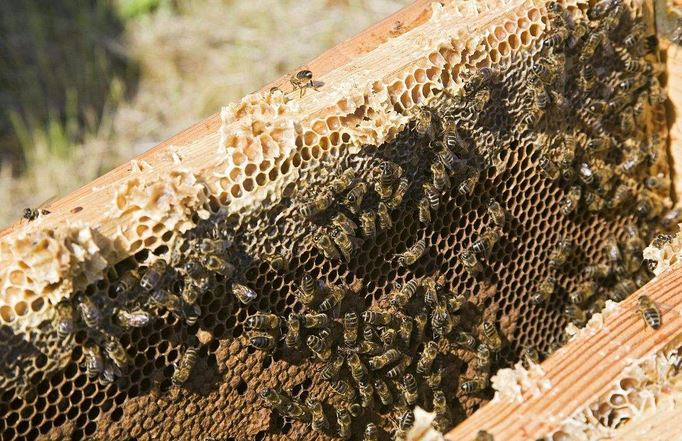 ���似����ѧ������Ƶ�˹�����ָ����ȫ ����������ô������Ƶ