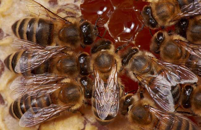 ���似����ѧ������Ƶ�˹�����ָ����ȫ ����������ô������Ƶ