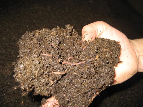 ������ֳ������ȫ������ѵ��Ƶ������  Ϊʲô������ô����ֳ��