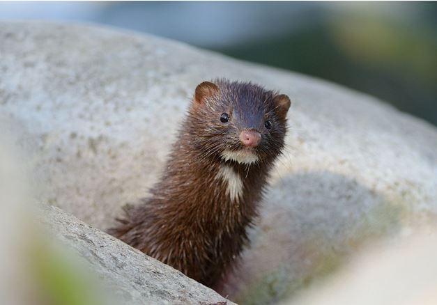 ˮֳϴȫֽ̳Ƶ  δ10ˮֳǰ