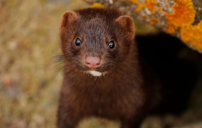 ˮֳϴȫֽ̳Ƶ  δ10ˮֳǰ