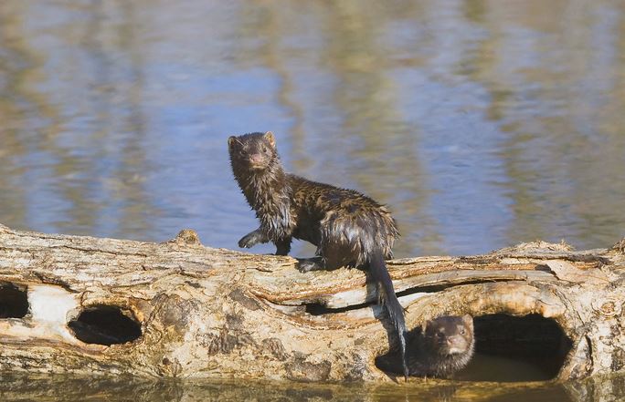 ˮֳϴȫֽ̳Ƶ  δ10ˮֳǰ