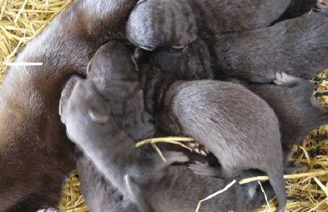 ˮֳϴȫֽ̳Ƶ  δ10ˮֳǰ