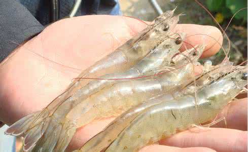 ϺƵȫʩ ϺĻ֪ʶֳҪ