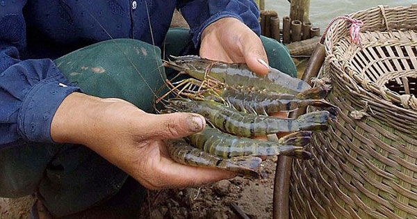 ϺƵȫʩ ϺĻ֪ʶֳҪ