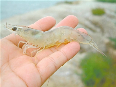 ϺƵȫʩ ϺĻ֪ʶֳҪ