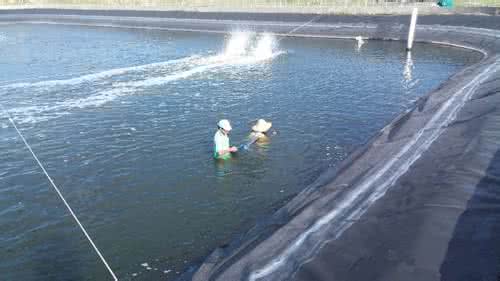 ϺƵȫʩ ϺĻ֪ʶֳҪ