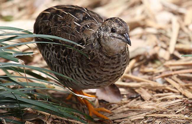 ֳ¼ϴȫֳƵ̳ ֳȵķպ