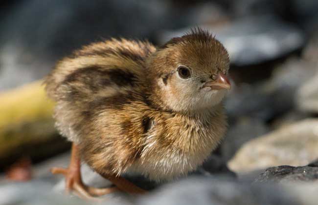 ֳ¼ϴȫֳƵ̳ ֳȵķպ