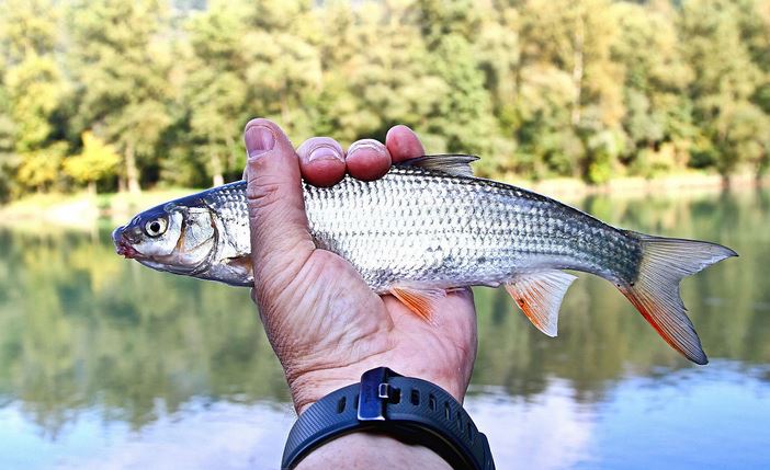 㼼ָȫƵ   ũֳʲô