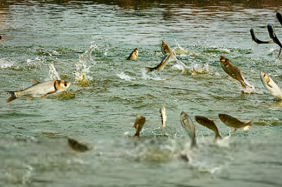 㼼ָȫƵ   ũֳʲô