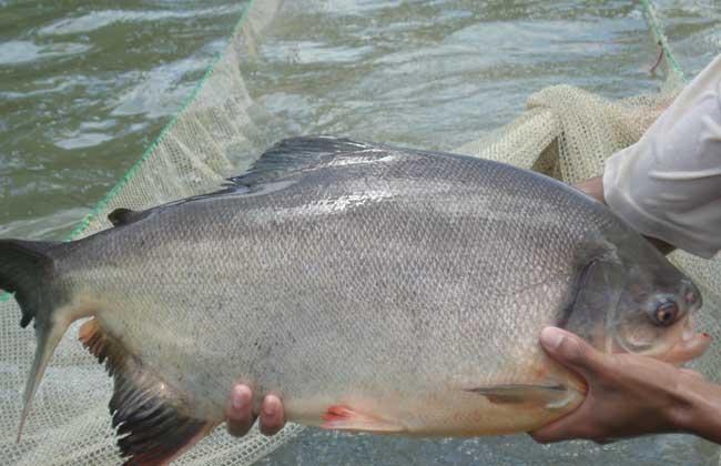 㼼ָȫƵ   ũֳʲô