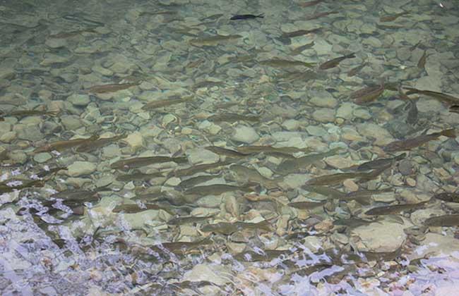 㼼ָȫƵ   ũֳʲô