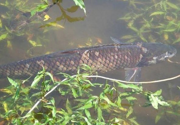 㼼ָȫƵ   ũֳʲô