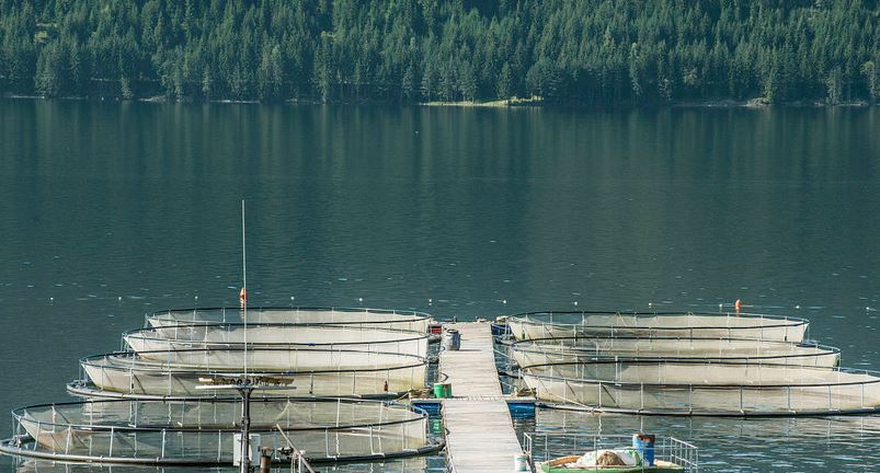 㼼ָȫƵ   ũֳʲô