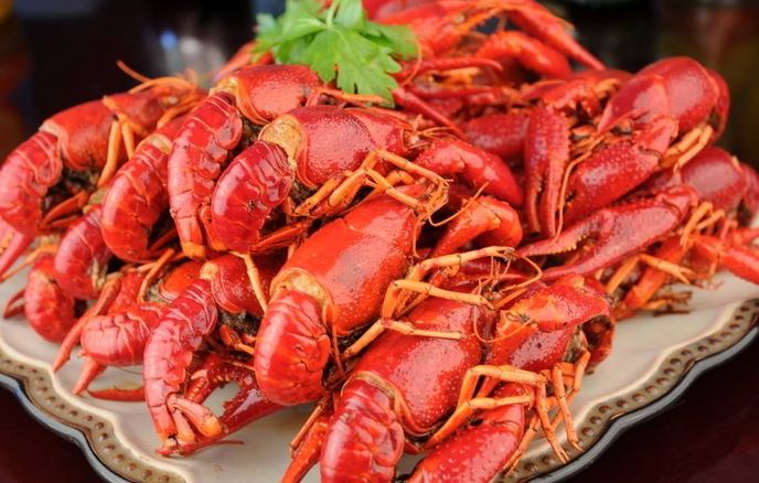 ϺֳƵ̳ȫ  СϺֳɱ