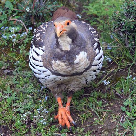 ѩǮһֻû繩ӦѩֳλͼƬ