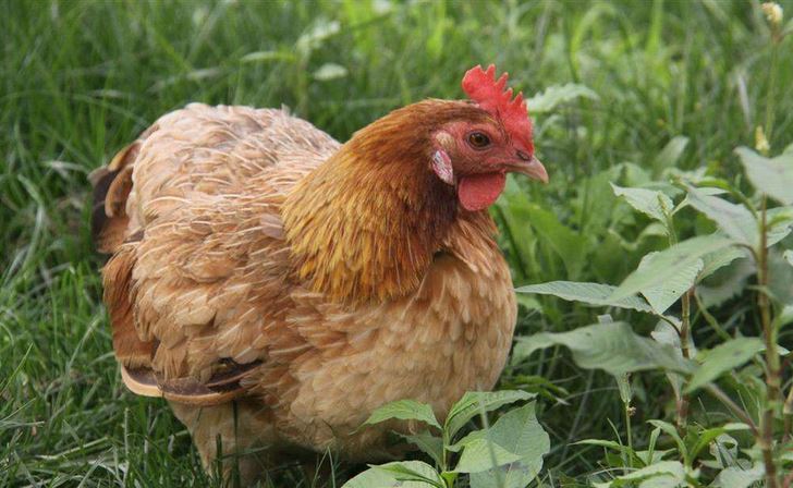 ֢״ͼƬȫƷƵ ַμƫ