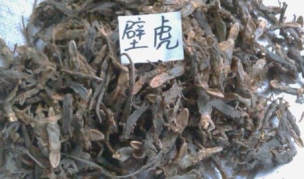 壁虎养殖技术大全视频及风险效益前景利润 壁虎养殖怎么销售?