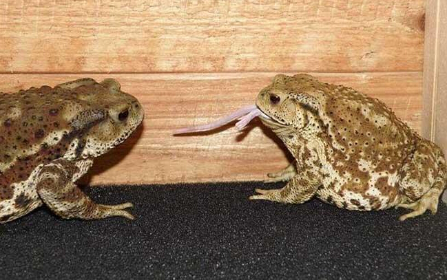 �����ʲô������ֳ��Ǯô����Ǯһ���չ��������ֳ����