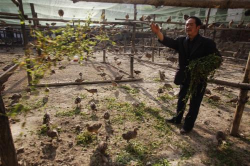 Ұ����ֳ������ȫ��Ҫ����������,��ֳҰ���ɱ�������ҪͶ�ʶ���