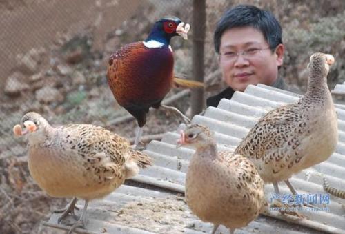 Ұ����ֳ������ȫ��Ҫ����������,��ֳҰ���ɱ�������ҪͶ�ʶ���