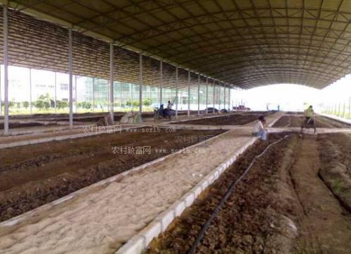 蚯蚓养殖技术视频市场前景如何?养殖蚯蚓一亩利润多少国家补贴吗