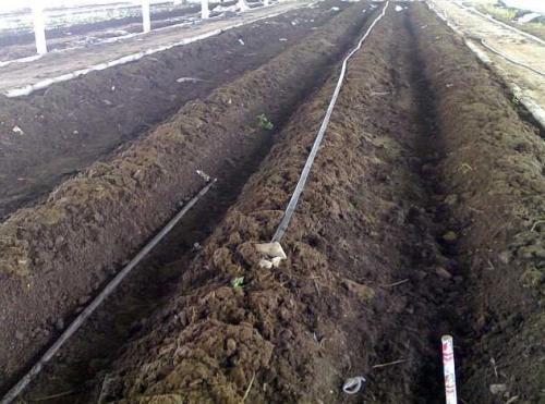 蚯蚓养殖技术视频市场前景如何?养殖蚯蚓一亩利润多少国家补贴吗