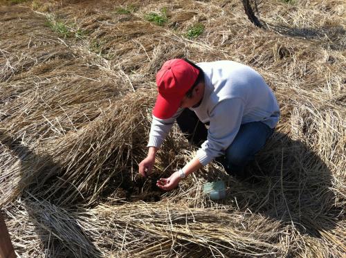 蚯蚓养殖技术视频市场前景如何?养殖蚯蚓一亩利润多少国家补贴吗