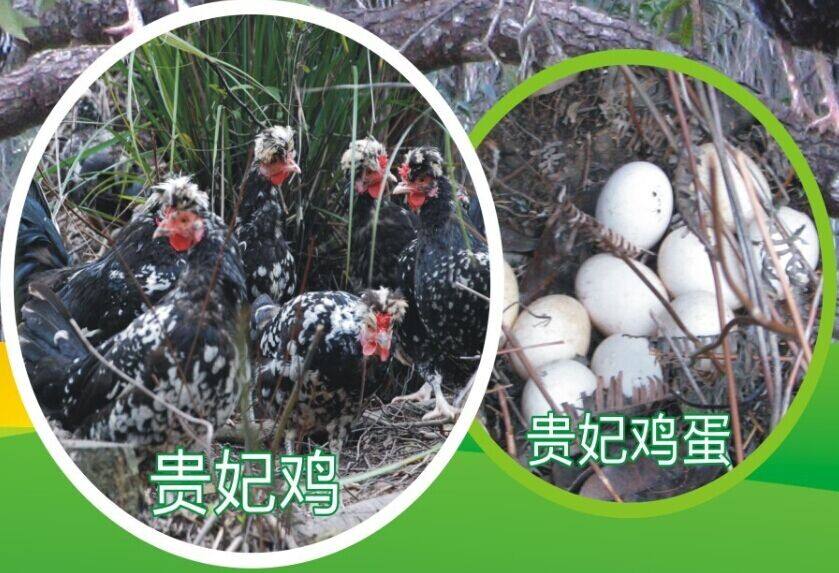 ��������ֳ����������Ƶ�ɱ�������ǰ�� 2017����������Ǯһ�