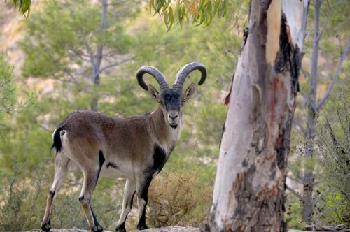 ҰɽֳؼƵ ҰɽǱǮһ