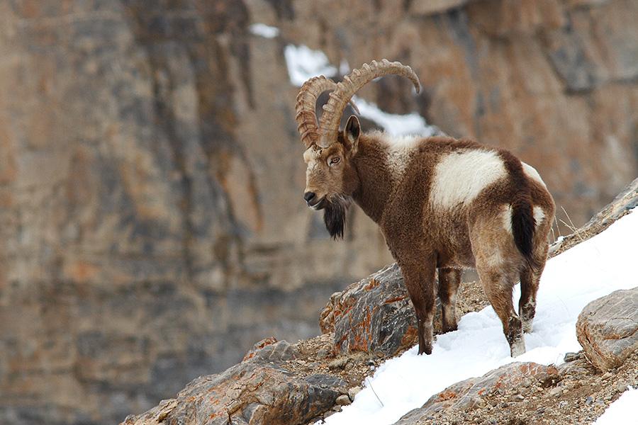 ҰɽֳؼƵ ҰɽǱǮһ