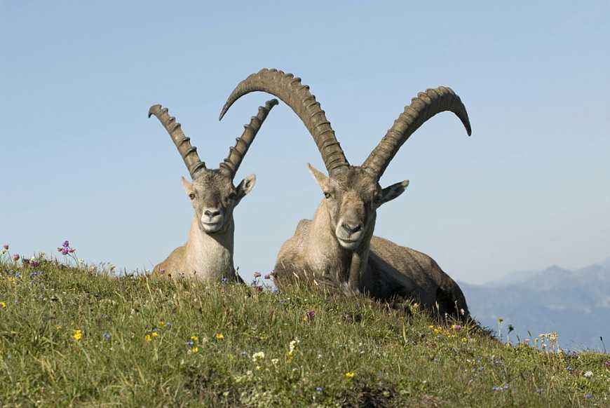 ҰɽֳؼƵ ҰɽǱǮһ