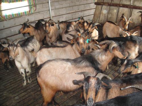 ҰɽֳؼƵ ҰɽǱǮһ