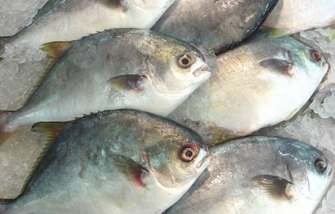 ֳƵܶ䷽ɱ 2017г۸