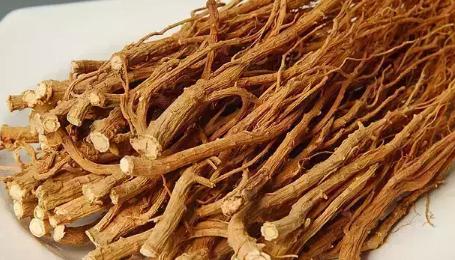 种植什么药材最赚钱有哪些品种?现在什么药材市场紧缺最新价格表