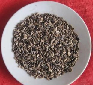 种植什么药材最赚钱有哪些品种?现在什么药材市场紧缺最新价格表