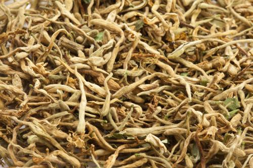 种植什么药材最赚钱有哪些品种?现在什么药材市场紧缺最新价格表