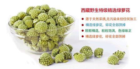 绿萝花的功效与作用哪种人不能喝?喝绿萝花有什么禁忌有副作用吗