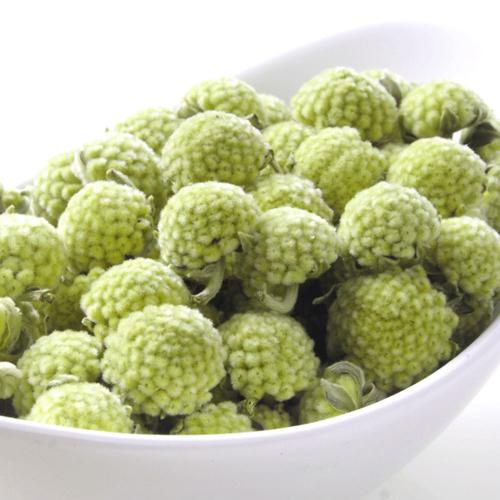 绿萝花的功效与作用哪种人不能喝?喝绿萝花有什么禁忌有副作用吗