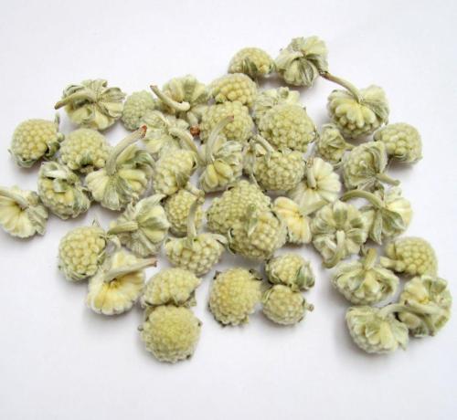 绿萝花的功效与作用哪种人不能喝?喝绿萝花有什么禁忌有副作用吗